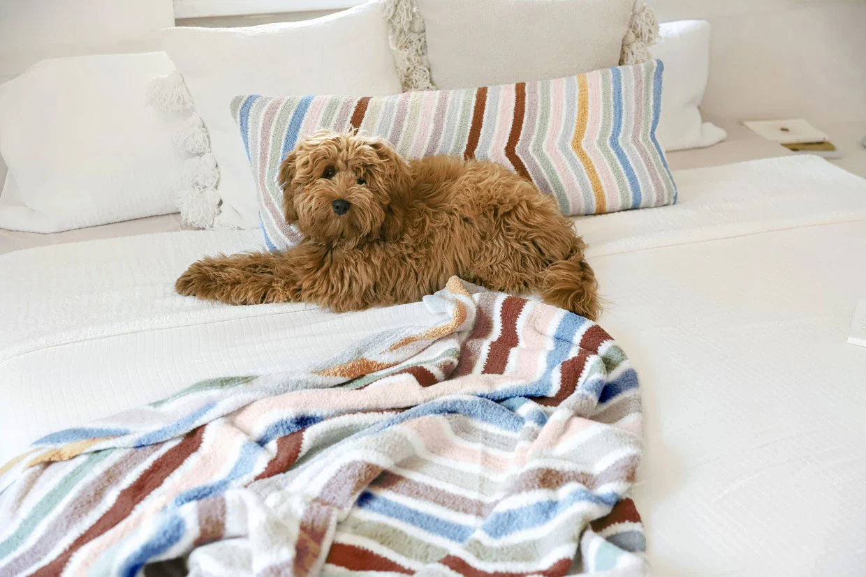 Cusco Lumbar Pillow | Last Chance - Image 14